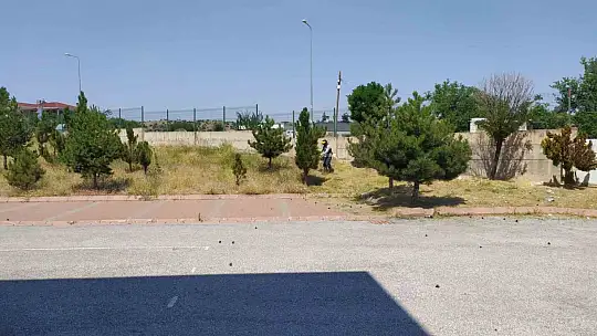 Başkan Özdoğan: 'Çocuklarımız yeni döneme tertemiz okullarda başlayacak'