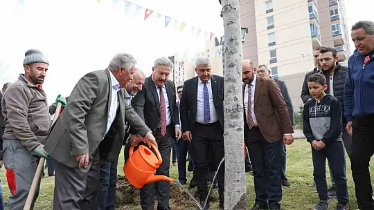 Başkan Palancıoğlu'nun yeşil projesi: 'Melikgazi'de fidan değil: ağaç dikiyoruz'