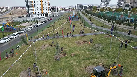 Başkan Palancıoğlu'nun yeşil projesi: 'Melikgazi'de fidan değil: ağaç dikiyoruz'