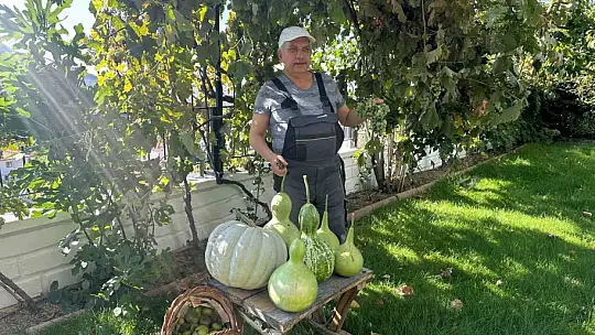 Başkan Yalçın'dan bahçe bozumu