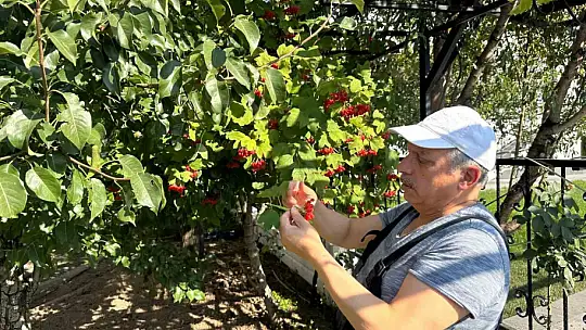 Başkan Yalçın'dan bahçe bozumu