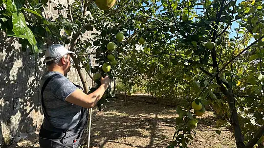 Başkan Yalçın'dan bahçe bozumu
