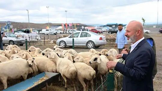 Bölgenin en büyük kesim ve satış yeri Kocasinan'da hazır