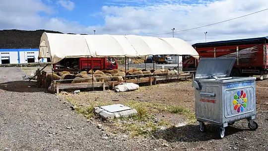 Bölgenin en büyük kesim ve satış yeri Kocasinan'da hazır