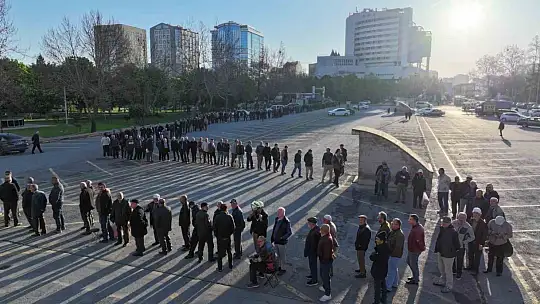 Bu da domates fidesi kuyruğu