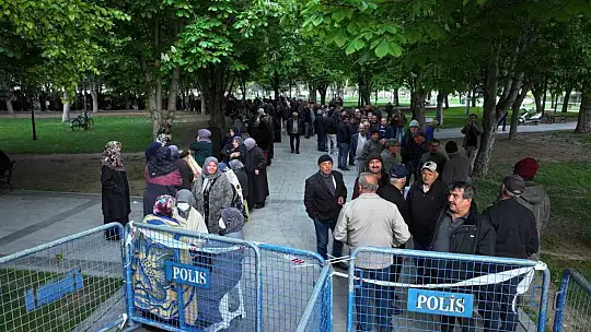 Bu da domates fidesi kuyruğu
