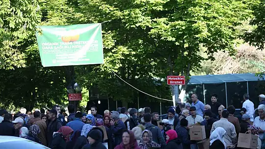 Bu da domates fidesi kuyruğu