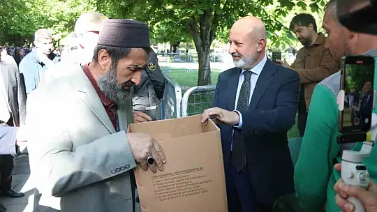 Bu da domates fidesi kuyruğu
