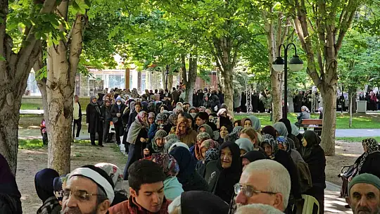 Bu da domates fidesi kuyruğu