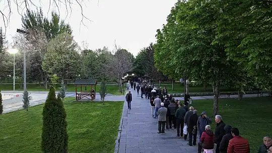 Bu da domates fidesi kuyruğu