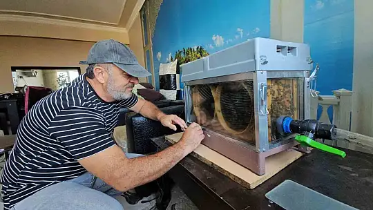 Bu düzenek görenleri şaşırtıyor Vızır vızır çalışan arılar 15. kata bal götürüyor