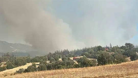 Bünyan Belediyesi'nden Kozan'daki yangına güçlü destek