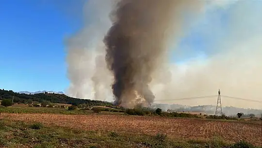 Bünyan Belediyesi'nden Kozan'daki yangına güçlü destek