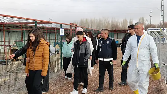 Bünyan'da öğrencilerden sokak hayvanları için anlamlı etkinlik