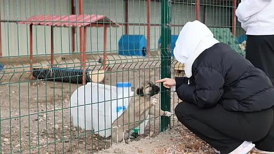 Bünyan'da öğrencilerden sokak hayvanları için anlamlı etkinlik