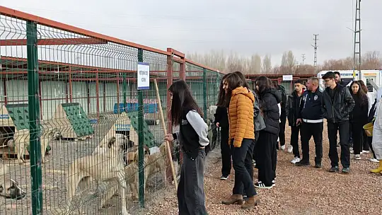 Bünyan'da öğrencilerden sokak hayvanları için anlamlı etkinlik