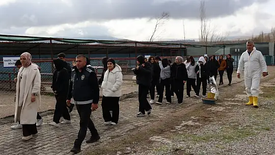 Bünyan'da öğrencilerden sokak hayvanları için anlamlı etkinlik
