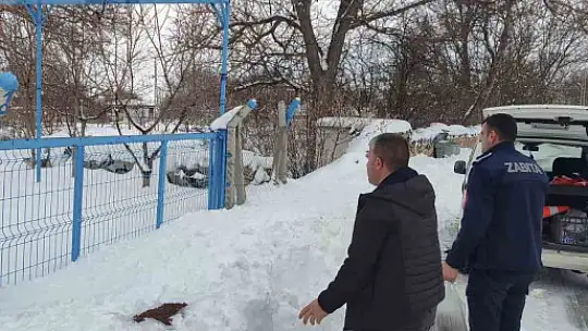 Bünyan'da sokak hayvanlarına mama desteği