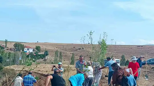 Büyükşehir, 2024 sonbaharında 230 bin fidanı toprakla buluşturacak