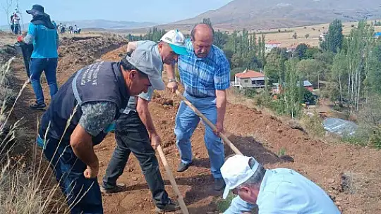 Büyükşehir, 2024 sonbaharında 230 bin fidanı toprakla buluşturacak
