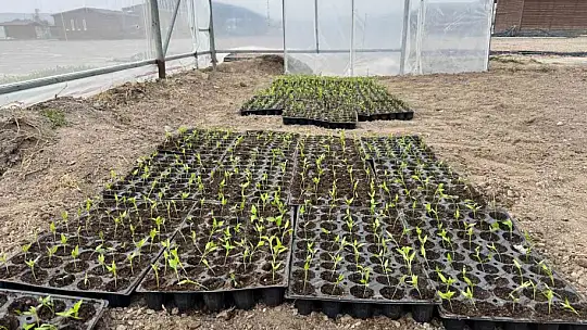 Büyükşehir'den üniversite öğrencilerine uygulamalı organik tarım eğitimi