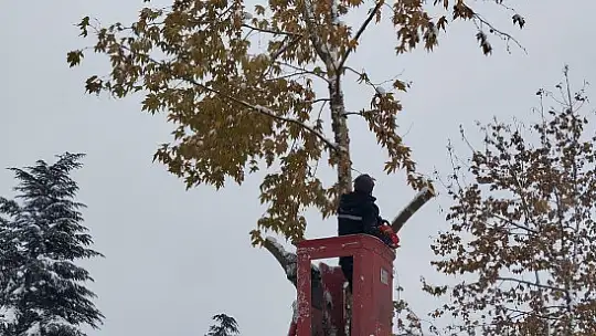 Büyükşehir ekiplerinden kaldırım ve parklarda yoğun mesai