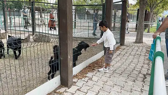 Büyükşehir Hayvanat Bahçesi'ni 30 Ağustos'ta 5 bin 500 kişi ziyaret etti