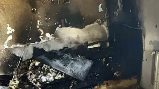Büyükşehir İtfaiyesi, yangında mahsur kalan 6 kediyi kurtardı