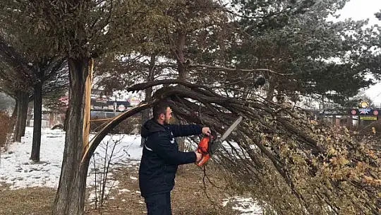Büyükşehir kent genelinde temizlik ve bakım çalışmalarına devam ediyor