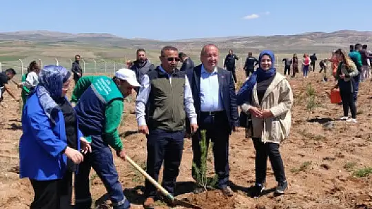Büyükşehir, Pınarbaşı'daki eğitim yuvasına 2 bin 500 fidan dikti