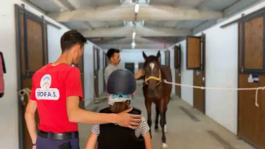 Büyükşehir Spor A.Ş.'nin binicilik eğitimleri yoğun ilgi görüyor