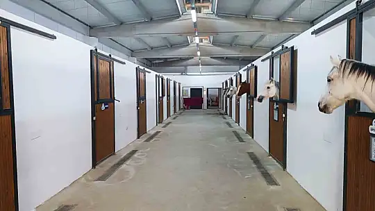 Büyükşehir Spor A.Ş.'nin binicilik eğitimleri yoğun ilgi görüyor