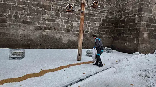 Büyükşehirden 'dilsiz dostlara' merhamet eli: Soğuk günlerde sıcak bir dokunuş
