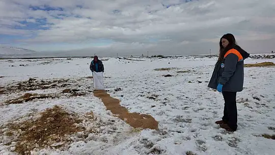 Büyükşehirden 'dilsiz dostlara' merhamet eli: Soğuk günlerde sıcak bir dokunuş