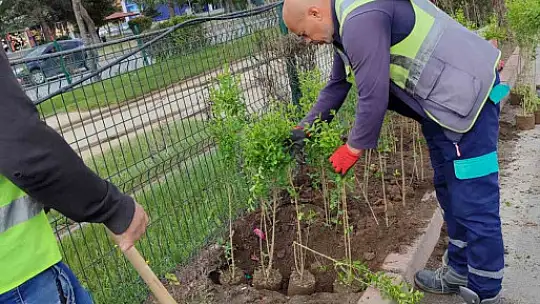 Büyükşehirden 'doğa dostu' hizmetler