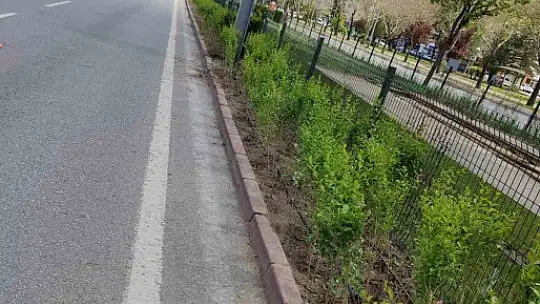 Büyükşehirden 'doğa dostu' hizmetler