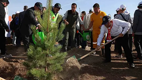 Büyükşehirden 6 yılda 750 bin fidan ile Kayseri'ye 'yeşil' katkı