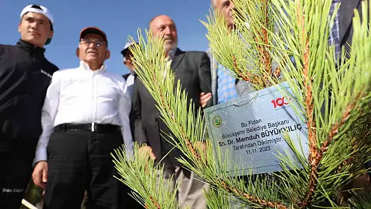 Büyükşehirden 6 yılda 750 bin fidan ile Kayseri'ye 'yeşil' katkı