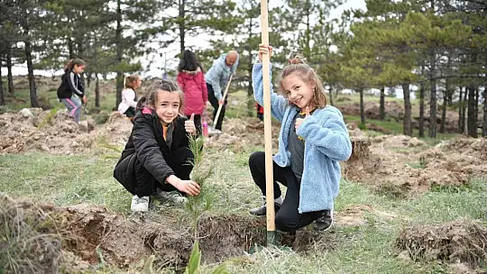 Büyükşehirden 6 yılda 750 bin fidan ile Kayseri'ye 'yeşil' katkı