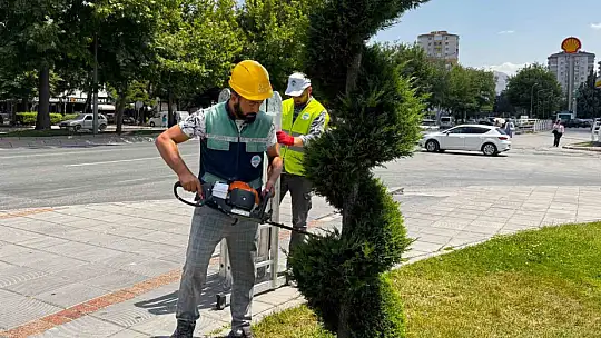 Büyükşehirden kent estetiğine titiz dokunuş: Süs bitkilerine form budaması
