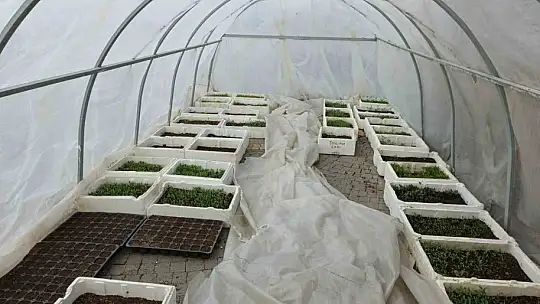 Büyükşehirin Doğal Ürünler Bahçesi ve Pazarı'nda yeni sezon hazırlığı