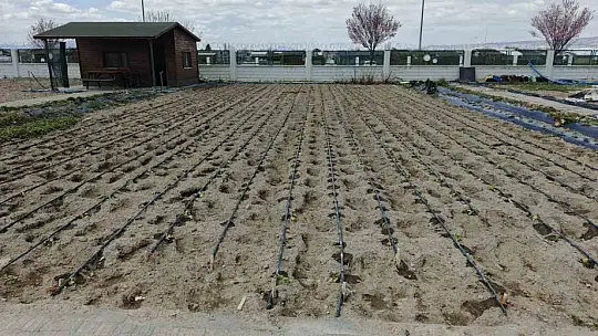 Büyükşehirin Doğal Ürünler Bahçesi ve Pazarı'nda yeni sezon hazırlığı
