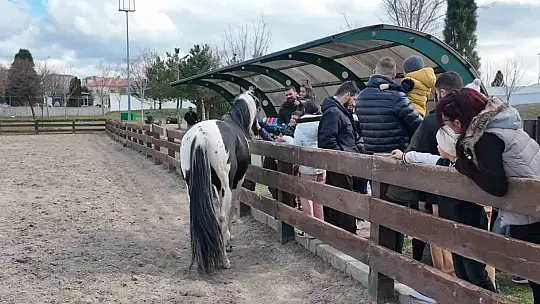 Büyükşehirin hayvanat bahçesinde bayram yoğunluğu: 40 bin ziyaretçi