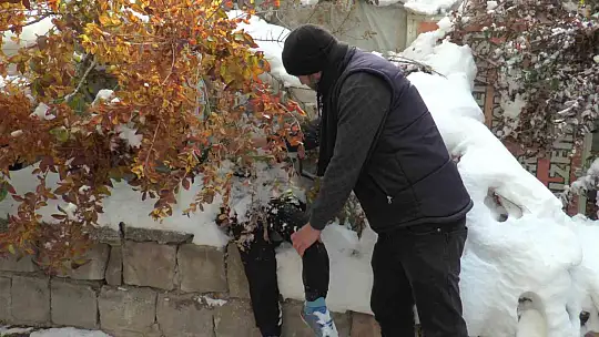 Ceset sandılar, çiçeklik çıktı