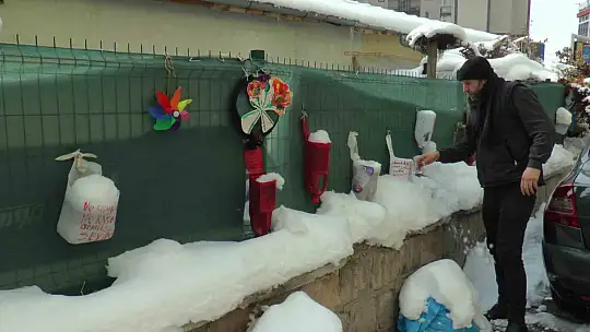 Ceset sandılar, çiçeklik çıktı
