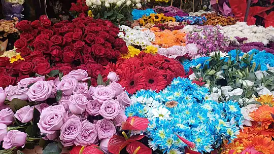 Çiçekçilerde '24 Kasım' yoğunluğu