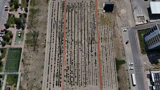 Çiftçilere örnek olması için ekilen lavantanın 4. hasadı yapıldı
