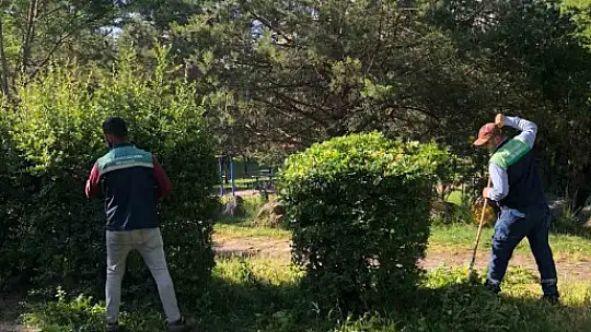 Daha yeşil Kayseri için çalışmalar sürüyor