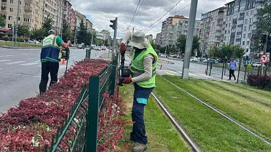 Daha yeşil Kayseri için çalışmalar sürüyor
