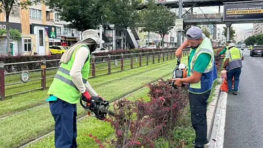 Daha yeşil Kayseri için çalışmalar sürüyor